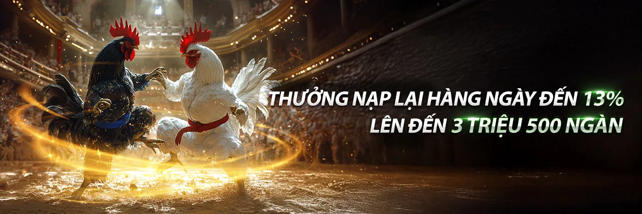 Hình ảnh chính trang tin tức Kubet19